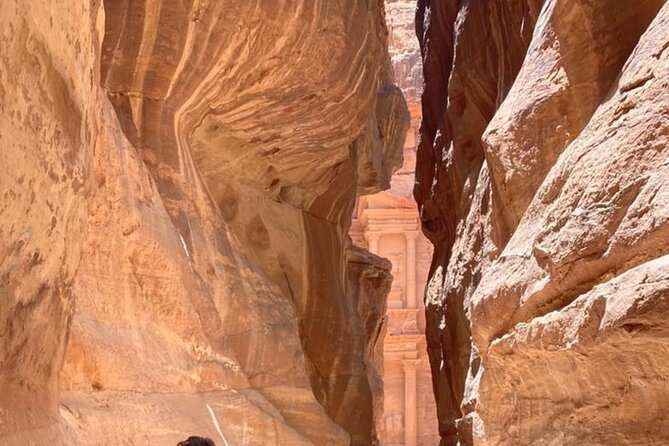 Half Day Tour to the Wonderful City of Petra - Who should choose this Petra day trip