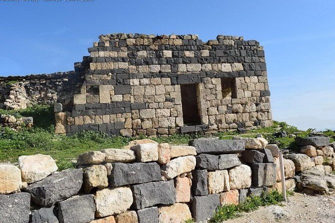 Jerash, Ajloun, and Umm Quais Full-Day Tour - What the private chauffeur adds
