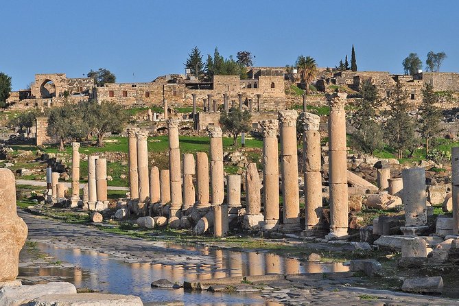 Jerash, Ajloun, and Umm Quais Full-Day Tour - Who will enjoy this day most