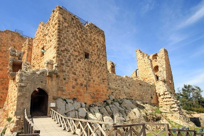 Jerash, Ajloun, and Umm Quais Full-Day Tour - Small details that improve the day