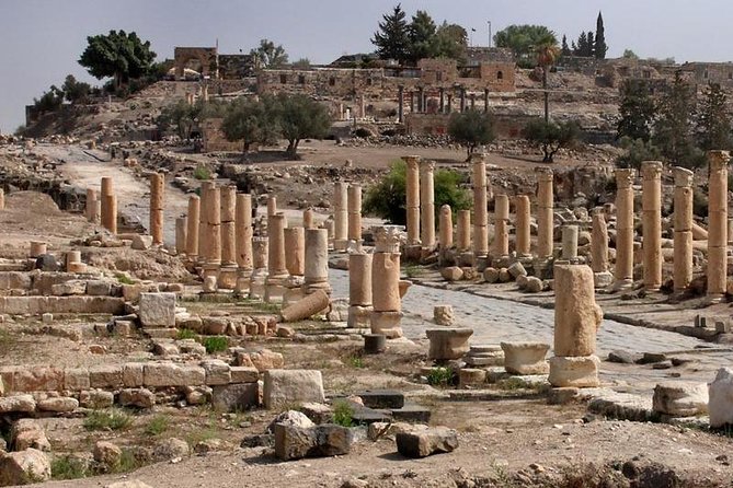 Jerash, Ajloun, and Umm Quais Full-Day Tour - Should you book the Jerash, Ajloun, and Umm Qais tour?