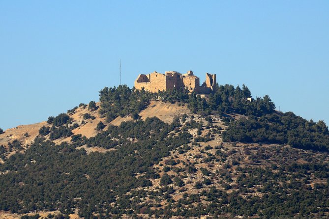 Jerash, Ajloun, Umm Qais Day Trip - What the $62 price really covers