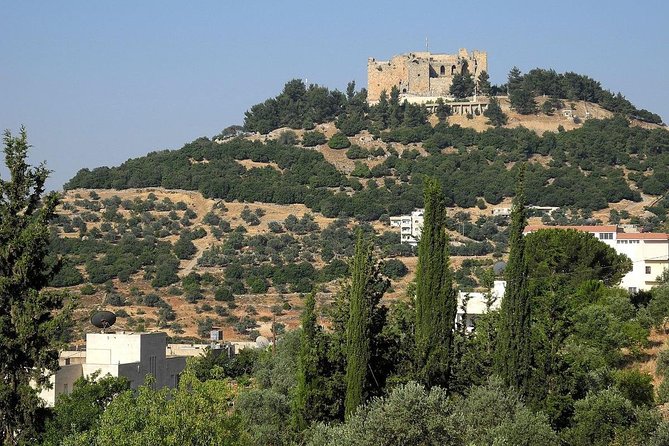 Jerash, Ajloun, Umm Qais Day Trip - Who should book this trip