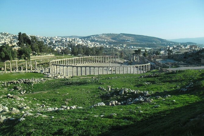 Jerash and Ajloun Castle Full day Tour - The Cardo and the Roman city plan