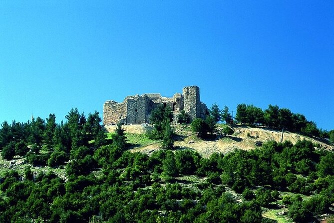 Jerash and Ajloun Castle Full day Tour - Temple of Artemis and the power of scale