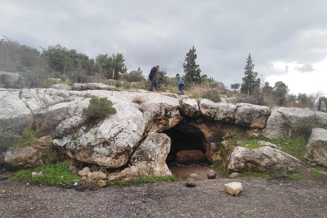 Jerash, Umm Qais, Cave of Jesus From Amman - Is $91 per person a fair price?