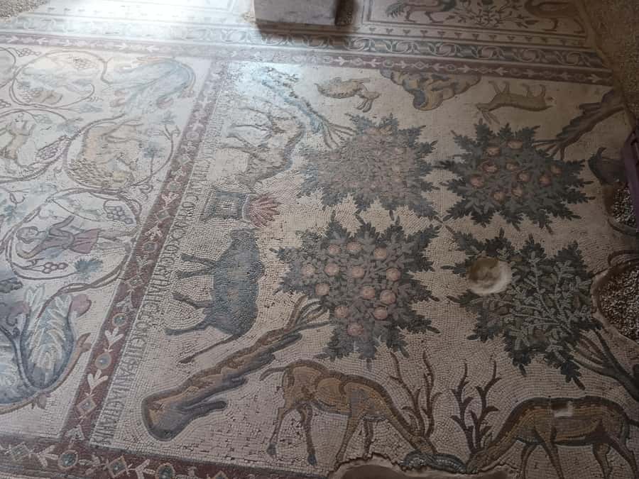 Jordan Mosaic Wonders: Umm ar-Rasas, Madaba & Mount Nebo - Khirbet Lumakheet and the value of an extra stop