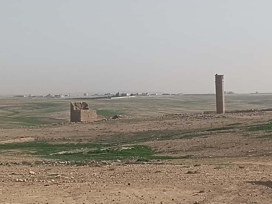 Jordan Mosaic Wonders: Umm ar-Rasas, Madaba & Mount Nebo - Transport, group size and the role of the driver