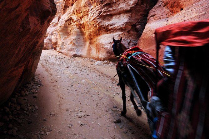 Jordan Private Driver Services | The Jordanian Mappers - Petra with time built around you