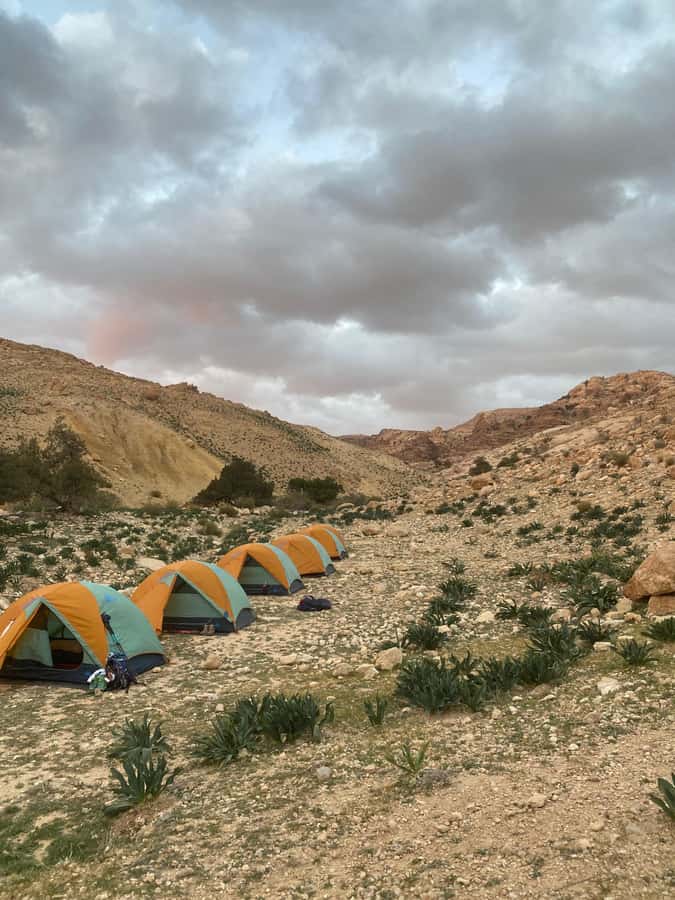 Jordan Trail: Dana to Petra 4-Day Trekking Tour - What the $499 price really covers