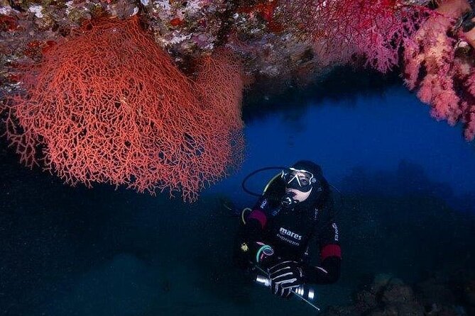 Journey of Diving or Snorkelling from a Boat - What the boat ride adds to the experience