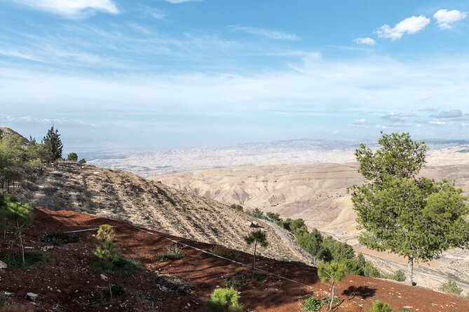 Madaba and Mount Nebo tour from Amman - Is the USD 65 price good value?