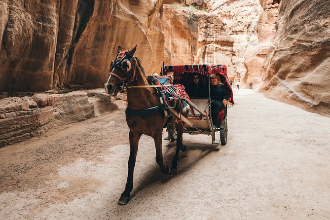 MULTI DAYS TOURS | TWO Days tour in PETRA | The Jordanian Mappers - Free time in Petra, with room to choose