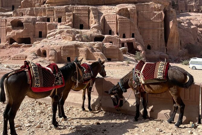 Nabatean Nights Stay in Petra Jordan - Bedouin Village with Tour - Sleeping inside Petra instead of outside the gates