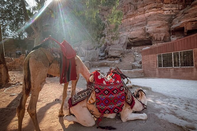 Nabatean Nights Stay in Petra Jordan - Bedouin Village with Tour - The mule ride to Petra’s Monastery
