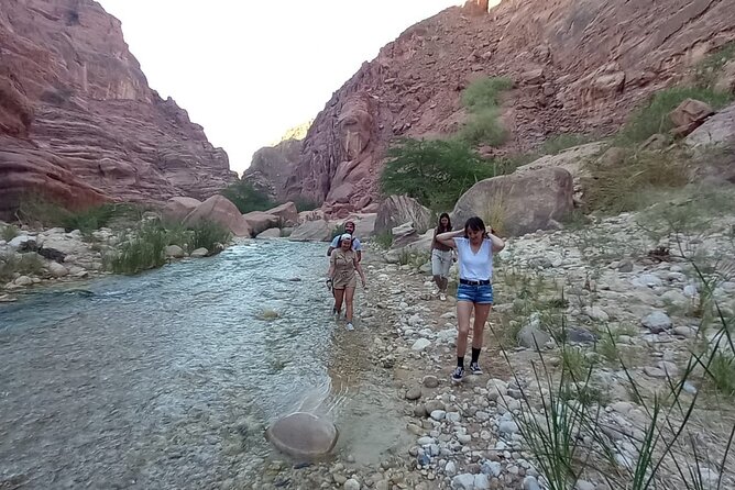 One Day Hiking Wadi Al Hasa Canyon - Pools, shade, and the seasonal water level
