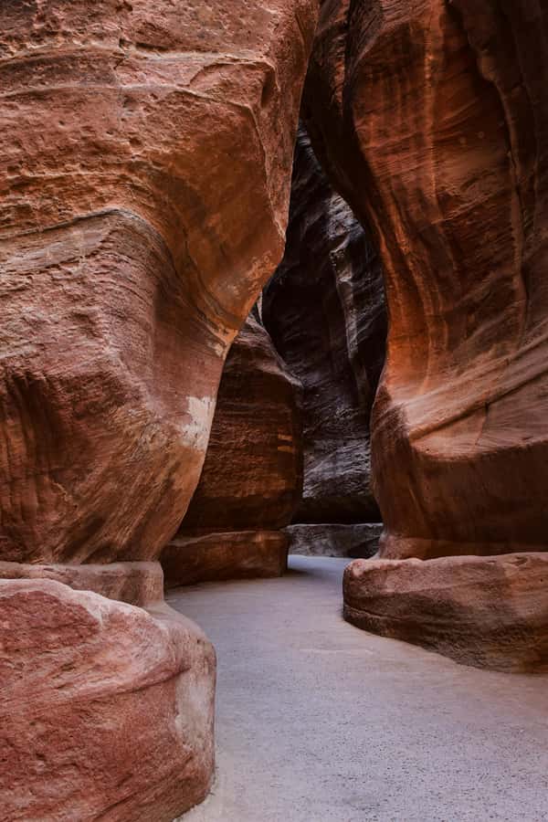 One Day Tour from Aqaba - Petra and Wadi Rum - Aqaba - Key points to know before booking