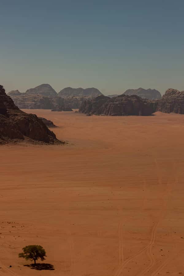 One Day Tour from Aqaba - Petra and Wadi Rum - Aqaba - Zarb dinner at a desert camp