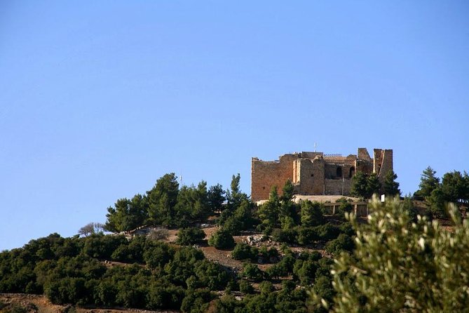 One Day Trip to Jerash & Ajloun Castle - Who will like this private Jerash and Ajloun trip?