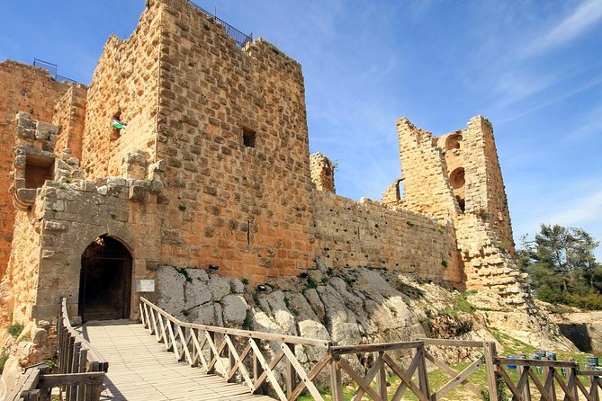 One Day Trip to Jerash & Ajloun Castle - Walking the Cardo Maximus and Roman city center