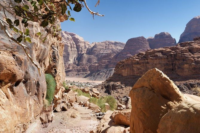 Panorama Jordan Tour 11 Day 10 Nights Tour - Petra over two days, not one hurried visit