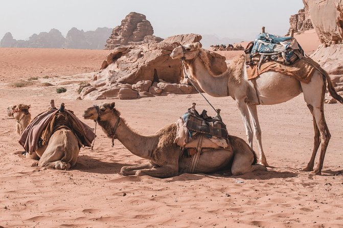 Petra and Wadi Rum in One Day | The Jordanian Mappers - Four hours in Petra, including time on your own