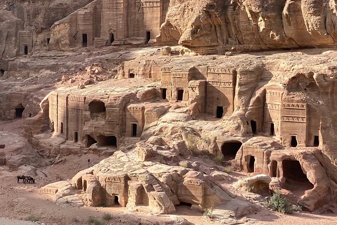 Petra and Wadi Rum in One Day | The Jordanian Mappers - The private format and the role of the driver