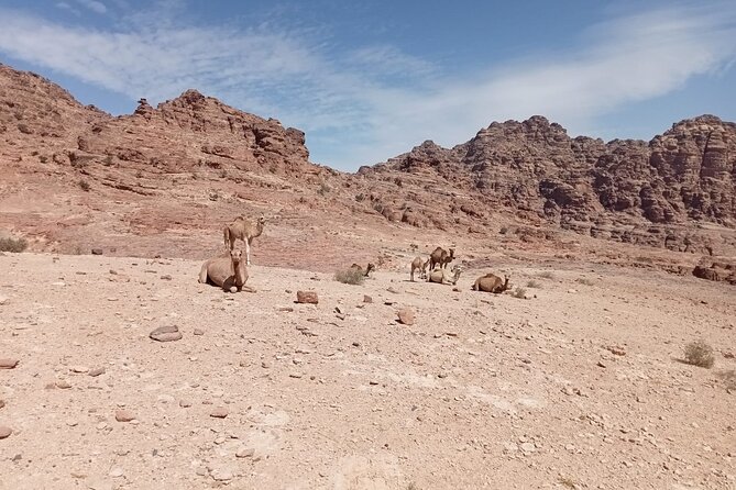 Petra Back-Road Trail and Hike - Why the back route changes your Petra visit