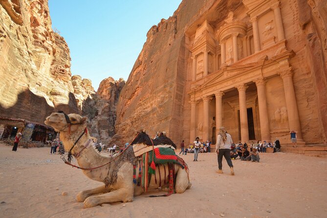 Petra & Dead Sea - One day Private tour - What the private vehicle adds
