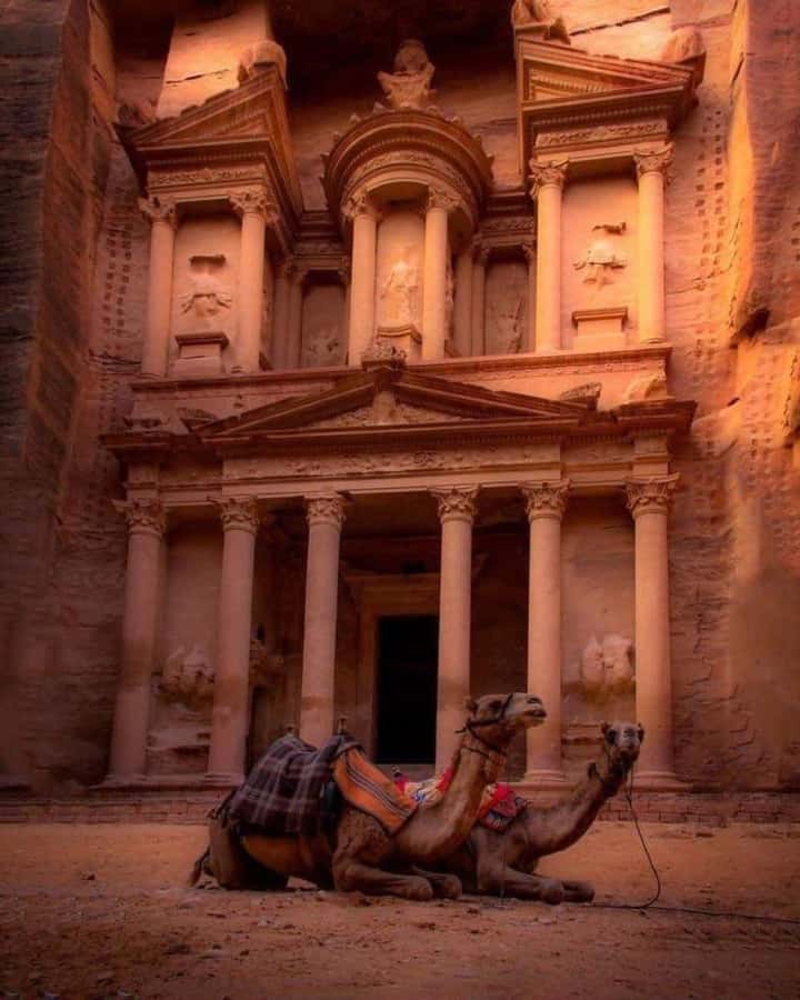 Petra & Dead Sea Private day tour - Self-guided Petra or an optional local guide