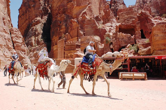 Petra Excursion from Dead Sea - Is $176 per person good value?
