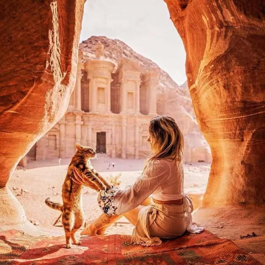 Petra Full-Day Private or Group Tour From Amman - Food, coffee, and roadside stops