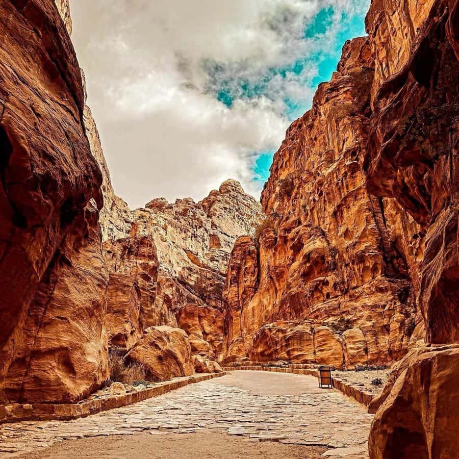 Petra Full-Day Private or Group Tour From Amman - Your arrival at Petra