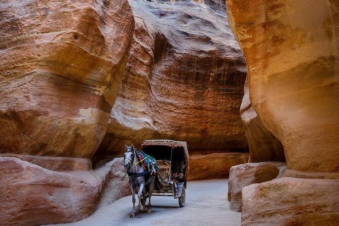 Petra Private Full-Day Tour - The Royal Tombs and Petra’s carved burial chambers