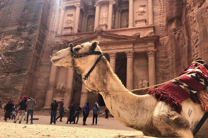 Petra Shore Excursion Aqaba Port - Weather, cancellations, and ship-day risk