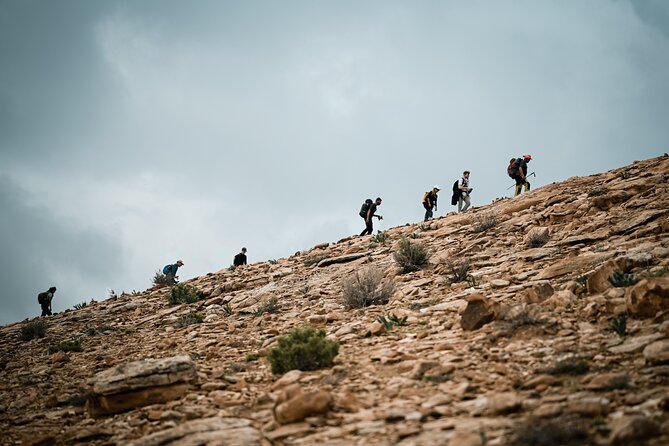 Petra to Wadi Rum Trek - 6 Days - Day two: quiet mountains and oleander valleys