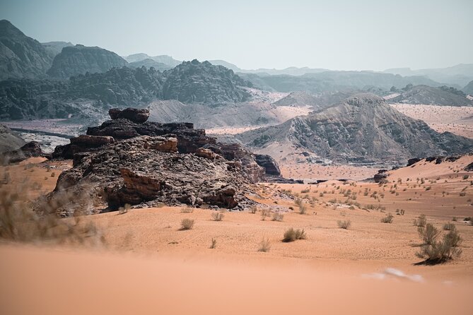 Petra to Wadi Rum Trek - 6 Days - The guide can shape the whole experience