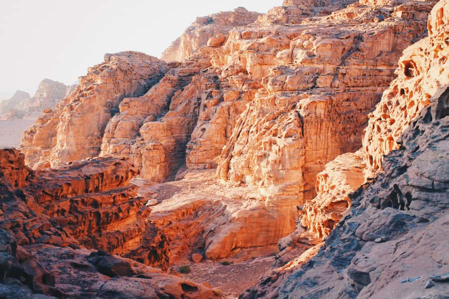Petra & Wadi Rum: Full Day Private Tour with Hotel Pickup - From the Treasury to the Royal Tombs