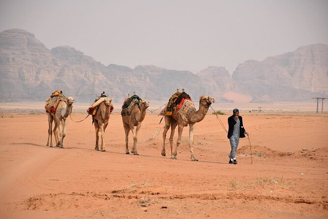Petra & Wadi Rum Full-Day Tour from Amman or Airport - The drive from Amman or Queen Alia Airport