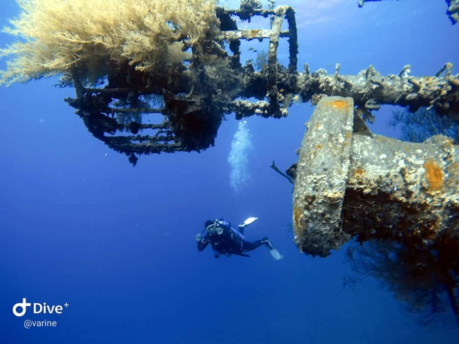 Pivate scuba diving in the Red Sea of Aqaba - A calm start at Aqaba Pro Divers