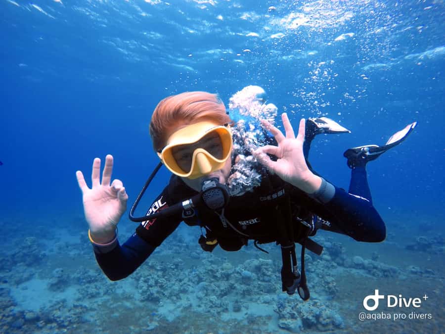 Pivate scuba diving in the Red Sea of Aqaba - What the $54 price really covers