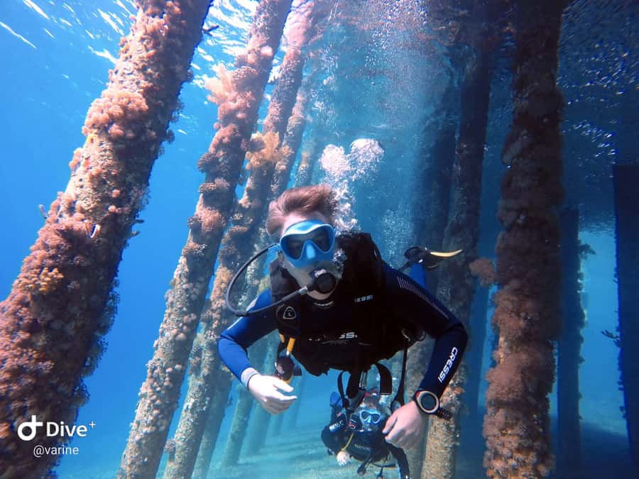 Pivate scuba diving in the Red Sea of Aqaba - Learning the basics before leaving shallow water