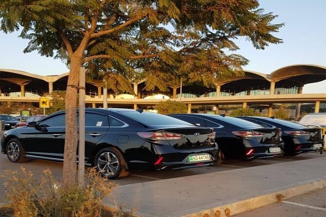 Private Arrival Transfer: Amman Airport to Petra Hotels - Who should book this transfer?
