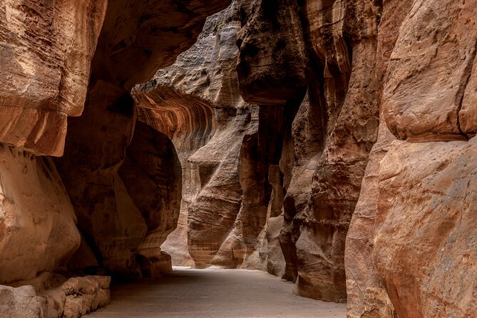 Private Full Day Tour from Amman to Petra City - What the $195 price means