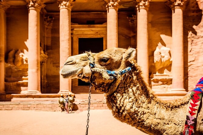 Private Full Day Tour from Amman to Petra City - The service details that make the day easier