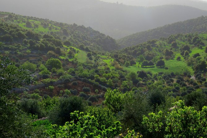 Private Full Day Tour to Umm Qais and Ajloun from Amman - Booking, weather, and small practical matters
