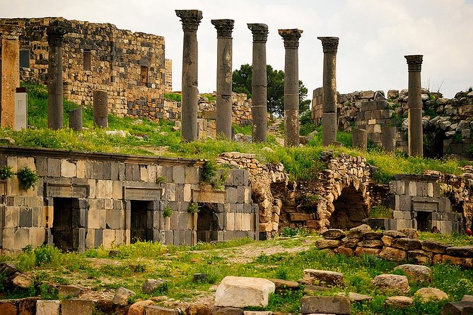 Private Guided Umm Quais and Jerash tour with lunch - The $224 price and what it covers