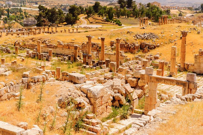 Private Half Day Jerash and Amman Sightseeing Tour - The value of having a driver-guide