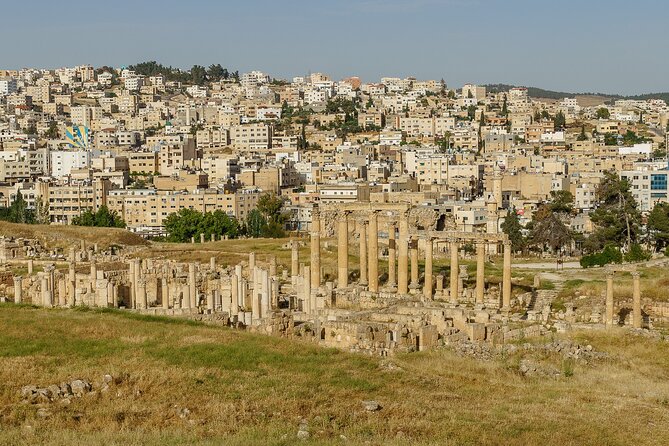 Private Half Day Tour in Jerash From Amman - What the driver adds, and what a local guide changes