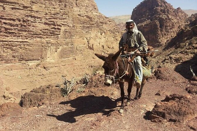 Private Half-Day Tour of Petra with Lunch - Price, tickets, and what the $120 covers